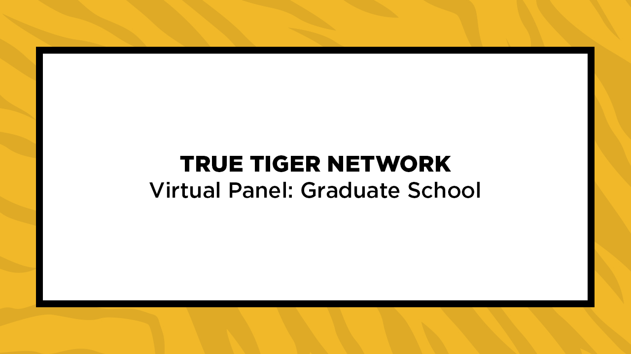 Image for True Tiger Network Virtual Panel: Grad School webinar